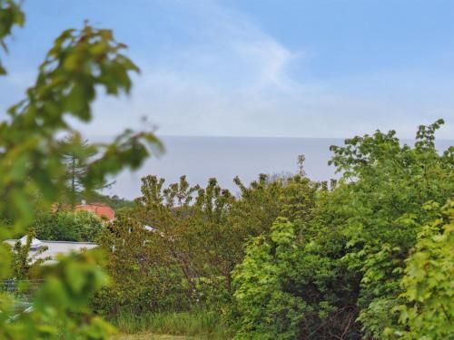 Outdoor Pictures 7