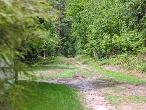 Outdoor Pictures 22