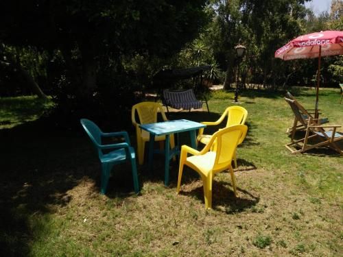 Outdoor Pictures 9