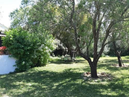 Outdoor Pictures 12
