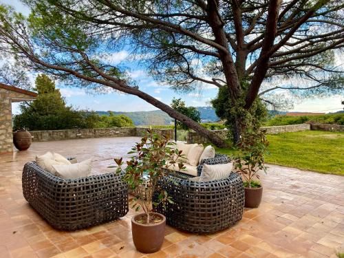 Outdoor Pictures 21