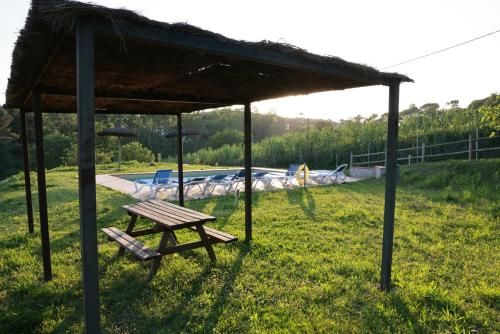 Outdoor Pictures 7