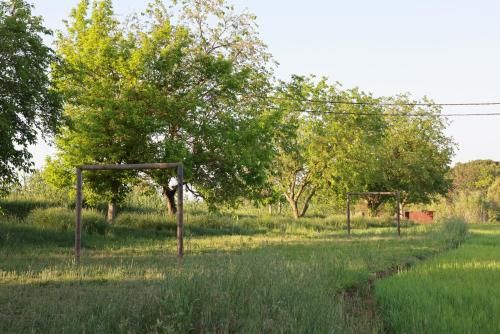 Outdoor Pictures 11