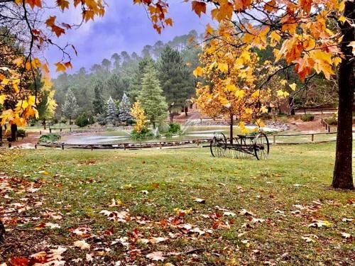 Outdoor Pictures 8