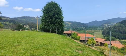 Outdoor Pictures 23