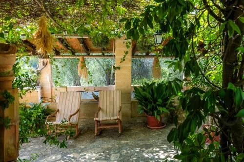 Outdoor Pictures 24