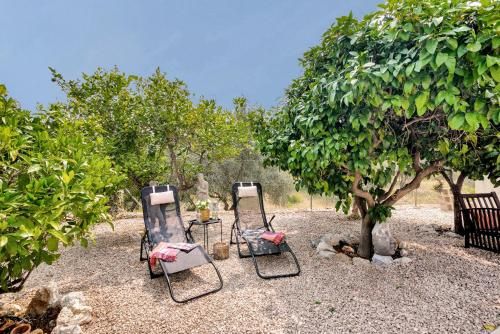 Outdoor Pictures 23