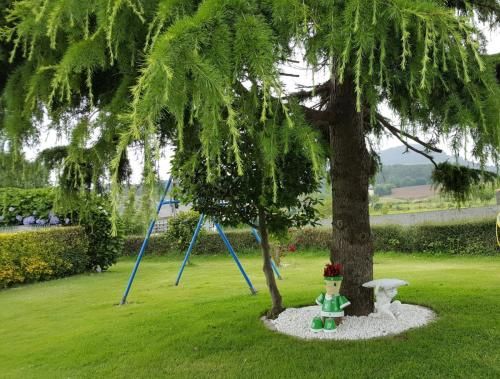 Outdoor Pictures 3