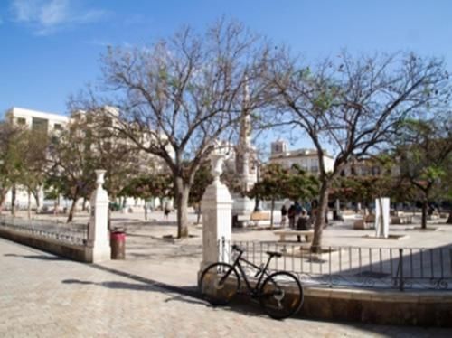 Del Parque Flats Monkey 1