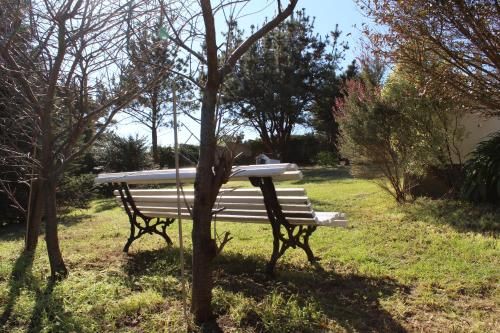 Outdoor Pictures 10