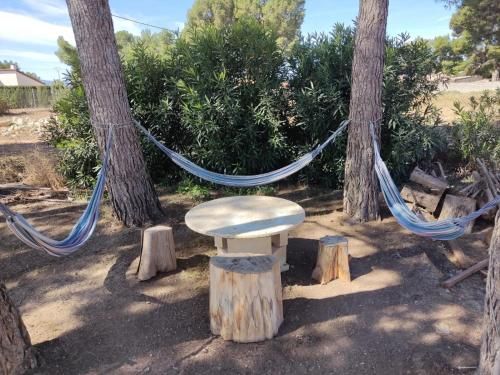 Outdoor Pictures 5