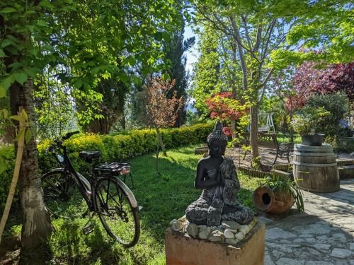 Outdoor Pictures 21