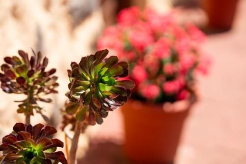 Outdoor Pictures 23