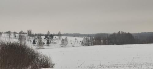 Outdoor Pictures 14