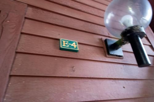 Outdoor Pictures 15