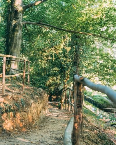 Outdoor Pictures 17
