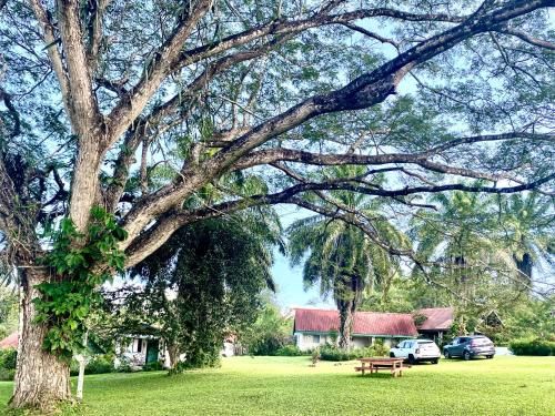 Outdoor Pictures 15