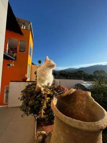Outdoor Pictures 1