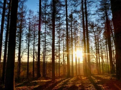 Outdoor Pictures 20