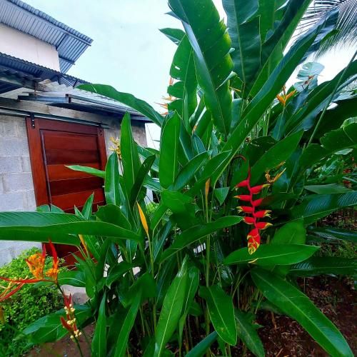 Outdoor Pictures 10