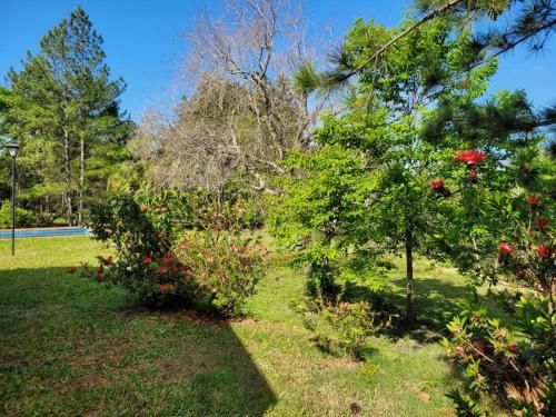 Outdoor Pictures 11