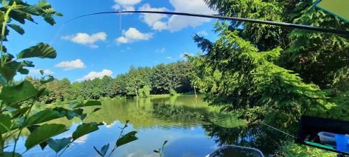 Outdoor Pictures 13