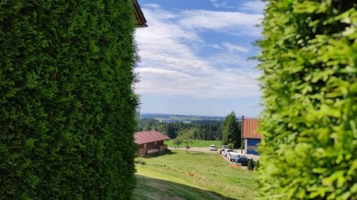 Outdoor Pictures 8