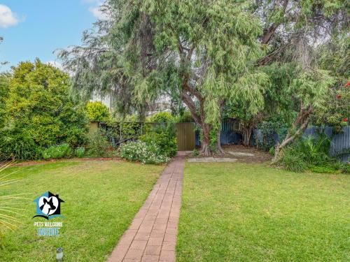 Outdoor Pictures 9