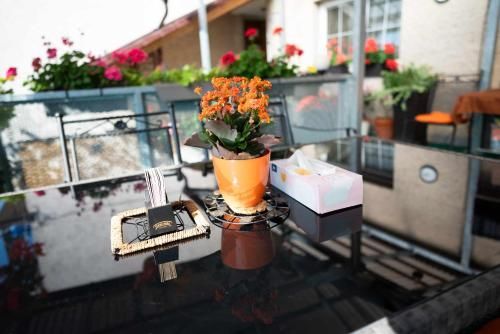 Outdoor Pictures 21