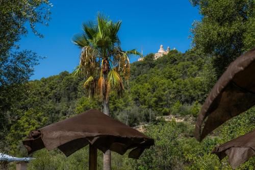 Outdoor Pictures 21