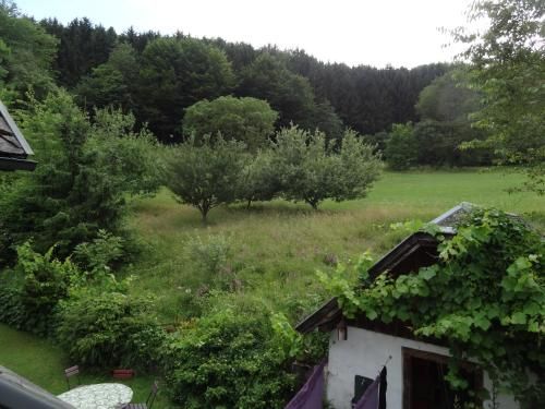 Outdoor Pictures 1