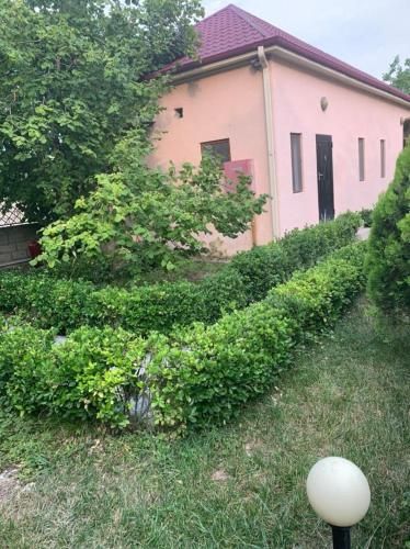 Outdoor Pictures 19