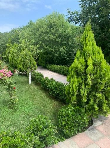 Outdoor Pictures 21