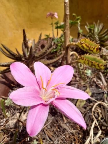 Outdoor Pictures 7