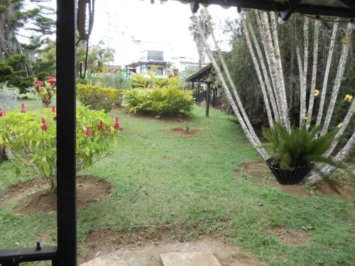 Outdoor Pictures 10