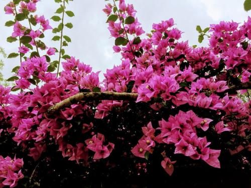Outdoor Pictures 23