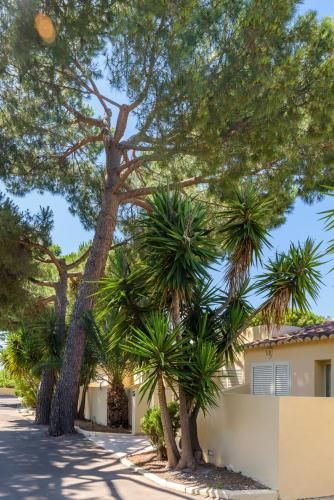 Outdoor Pictures 20