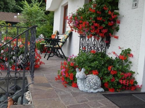 Outdoor Pictures 22