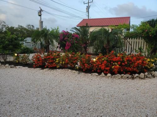 Outdoor Pictures 5
