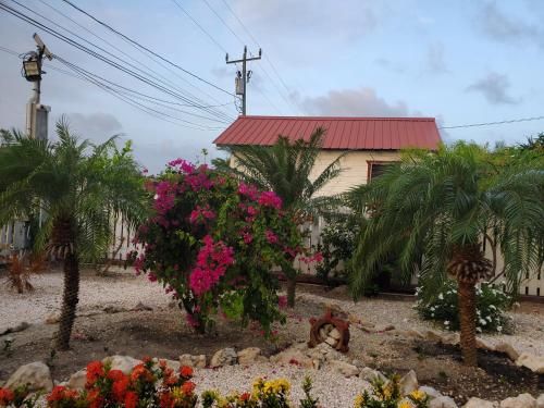 Outdoor Pictures 7