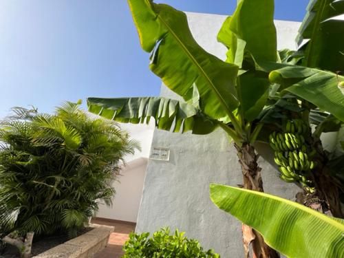 Apartament Malibu Blue