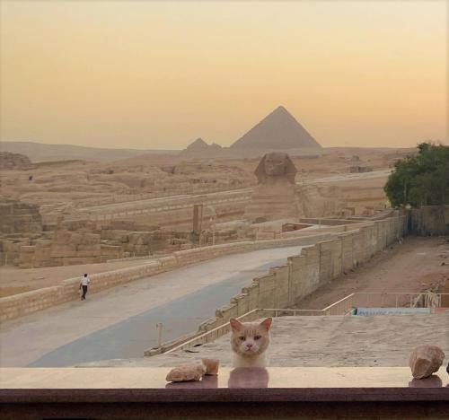 Seven Pyramids Inn