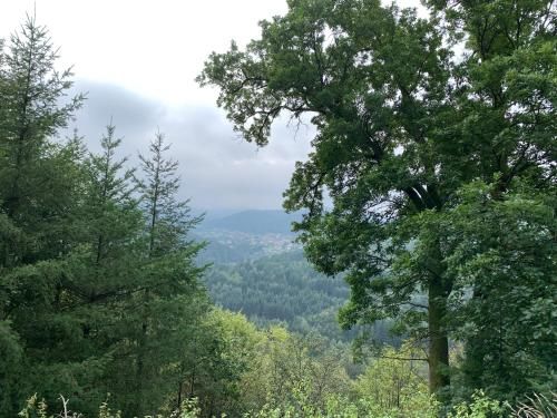 Outdoor Pictures 21