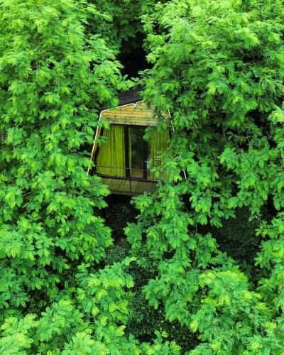 Outdoor Pictures 9