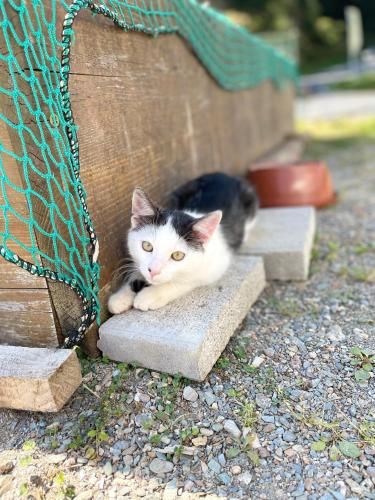 Outdoor Pictures 23