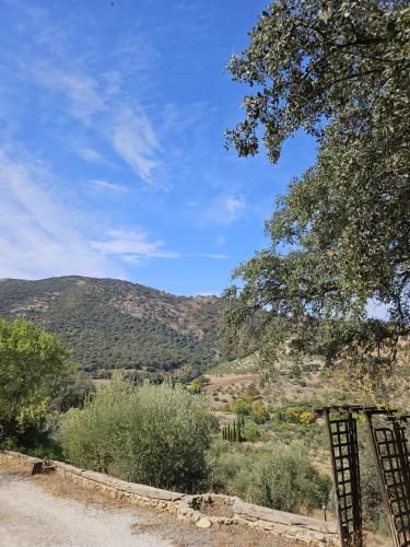Outdoor Pictures 7