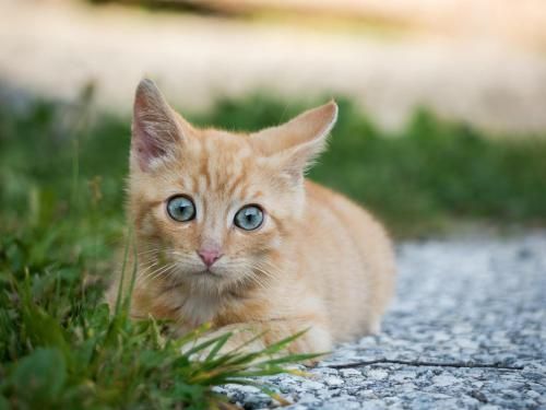 Outdoor Pictures 23