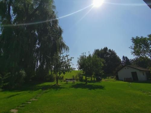 Outdoor Pictures 13
