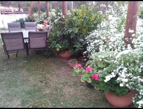 Outdoor Pictures 4