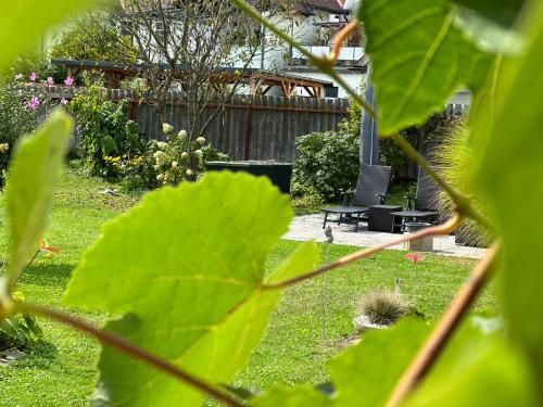 Outdoor Pictures 11